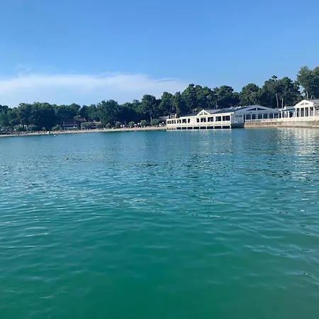 Traumhafte Lori * Umag